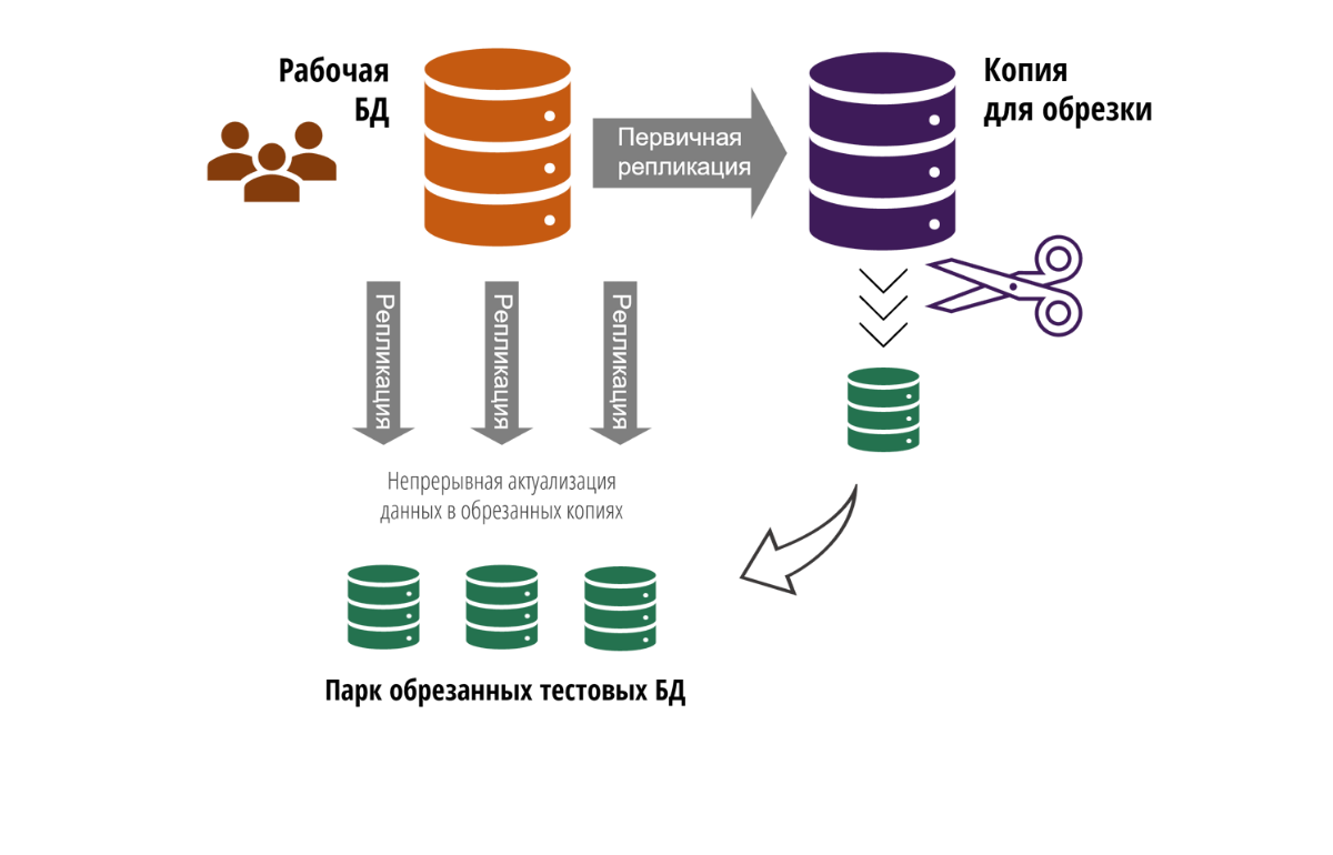 Обрезка базы данных - SOFTPOINT